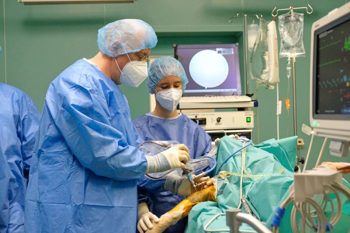 Foto: archiv VETUNI Fakulta veterinárního lékařství reprezentuje na univerzitě klinickou veterinární medicínu.