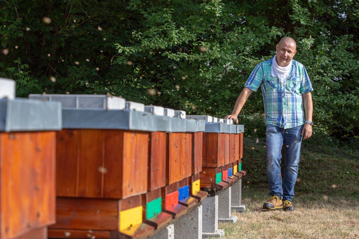 V univerzitní včelnici ve Vaňově. 