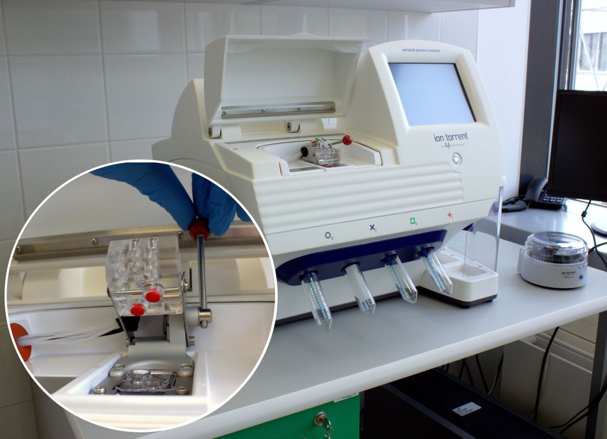 Foto: MU Bezpečnost bakteriofágů je ověřována sekvenováním jejich DNA.