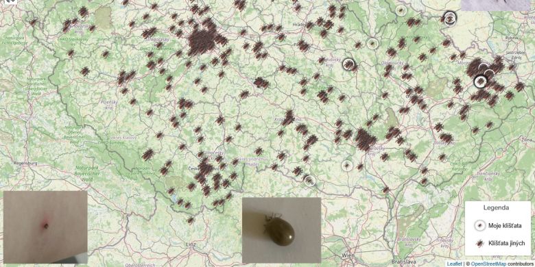 Projekt www.klistatavemeste.cz se zaměřuje na sběr klíšťat nejen v městském prostředí.