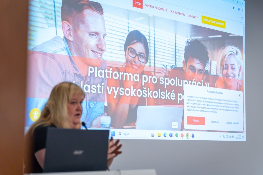Lucie Rohlíková z projektu PEKRV na expertním setkání v Brně na VUT.
