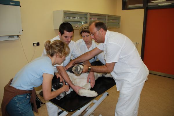 Vyšetření pacienta v&nbsp;ambulanci.