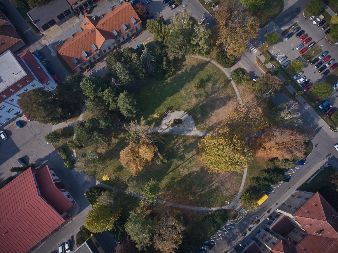 A park in the centre of the campus dates back to the time of the cavalry barracks. The paths were later reconstructed into the anatomical shape of a&nbsp;pig's heart and related vessels. Photo: VFU