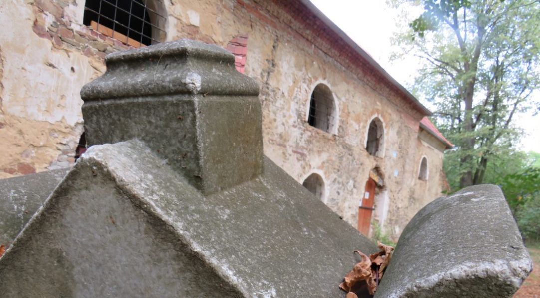 Foto: Mendelu Pelhřimovy