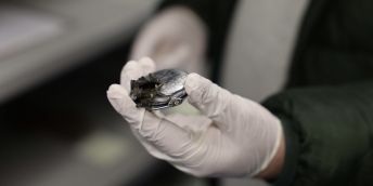 Sbírky Památníku v Potočari v Bosně a Hercegovině dnes obsahují tisíce osobních předmětů – částí oděvů a obuvi, dokladů, hodinek, hygienických potřeb nebo různých drobností.