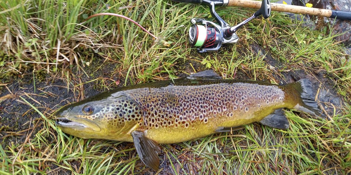 Výzkumníci z Jihočeské univerzity a Baylor University dlouhodobě spolupracují na projektech týkajících se kvality vody, kontaminace ryb a veřejného zdraví.