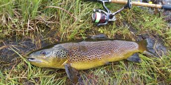 Výzkumníci z Jihočeské univerzity a Baylor University dlouhodobě spolupracují na projektech týkajících se kvality vody, kontaminace ryb a veřejného zdraví.