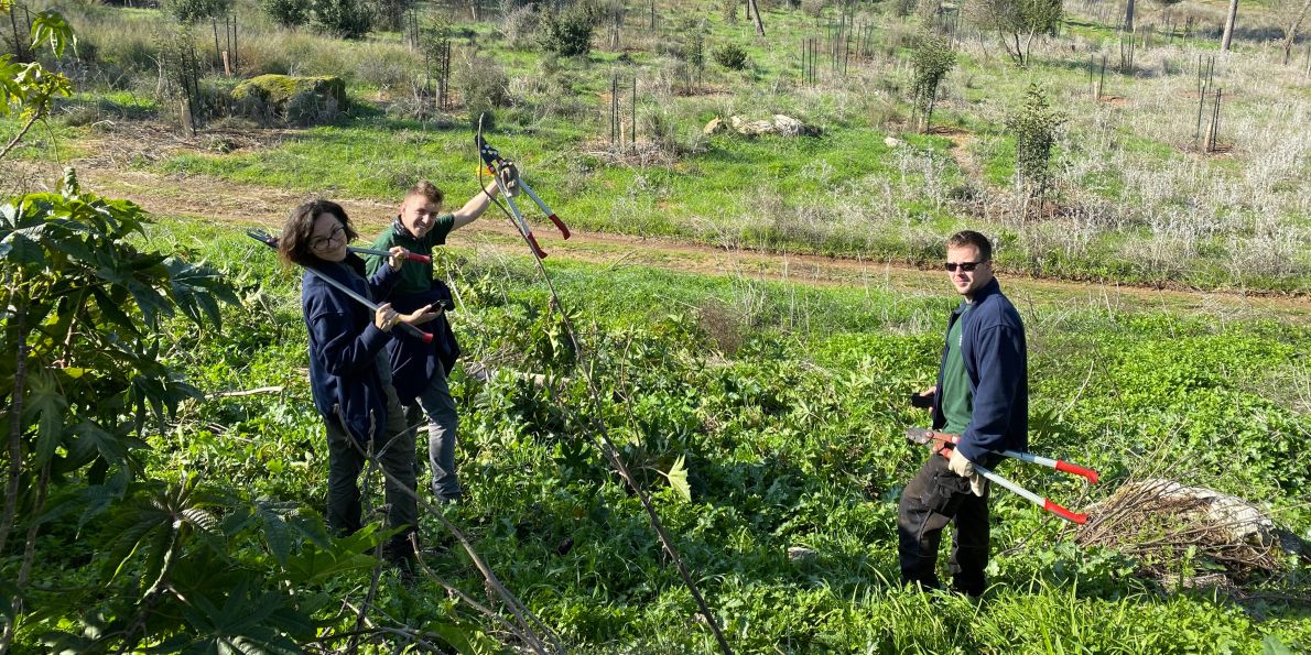 Experti z Mendelovy univerzity se snaží zachránit skomírající les v Izraeli.